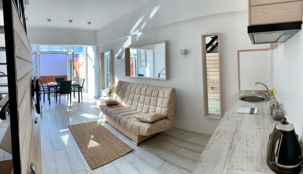 2-Level Apartments With Terrace In The Center Of ヴィーツェプスク エクステリア 写真