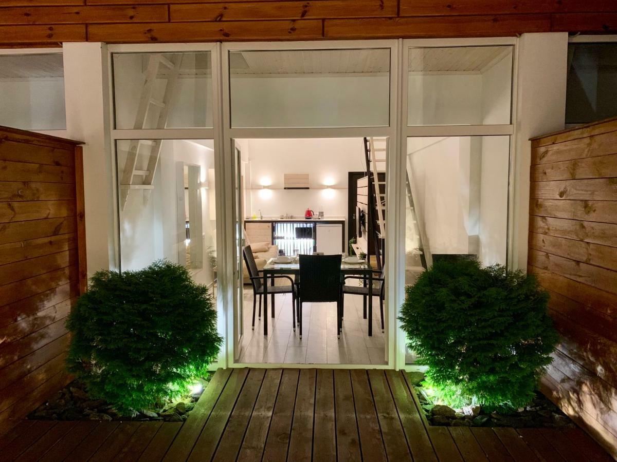 2-Level Apartments With Terrace In The Center Of ヴィーツェプスク エクステリア 写真
